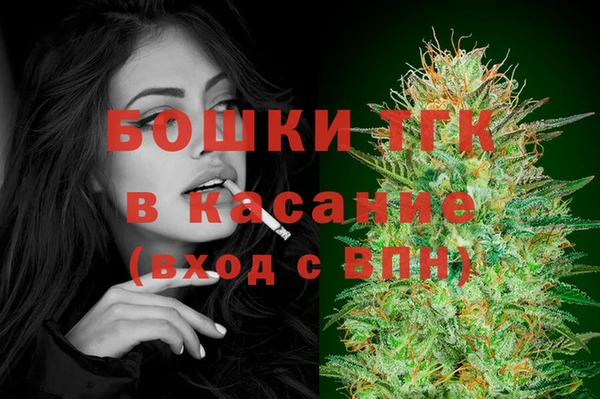 индика Лихославль