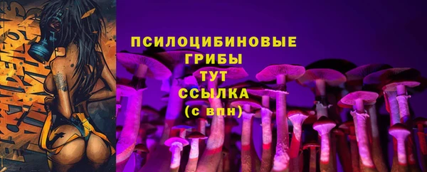 каннабис Гусиноозёрск