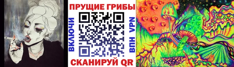 наркошоп  Емва  Галлюциногенные грибы GOLDEN TEACHER 